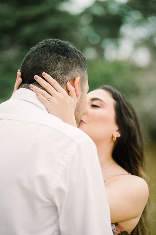 Descripción de la imagen 5